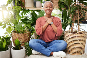 Plants To Bring Life Into Your Meditation Space 